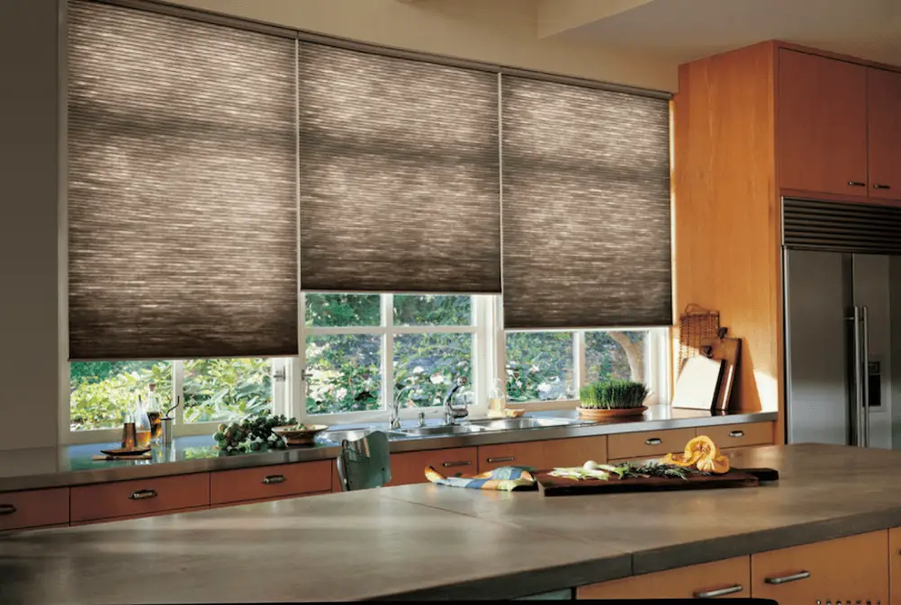 Blackout Honeycomb Blinds and Shades