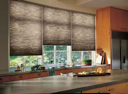 Duette Honeycomb shades