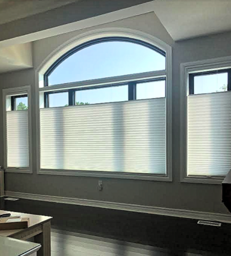 Duette Honeycomb shades