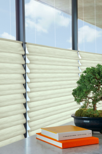 Top down bottom up hobbled roman vignette